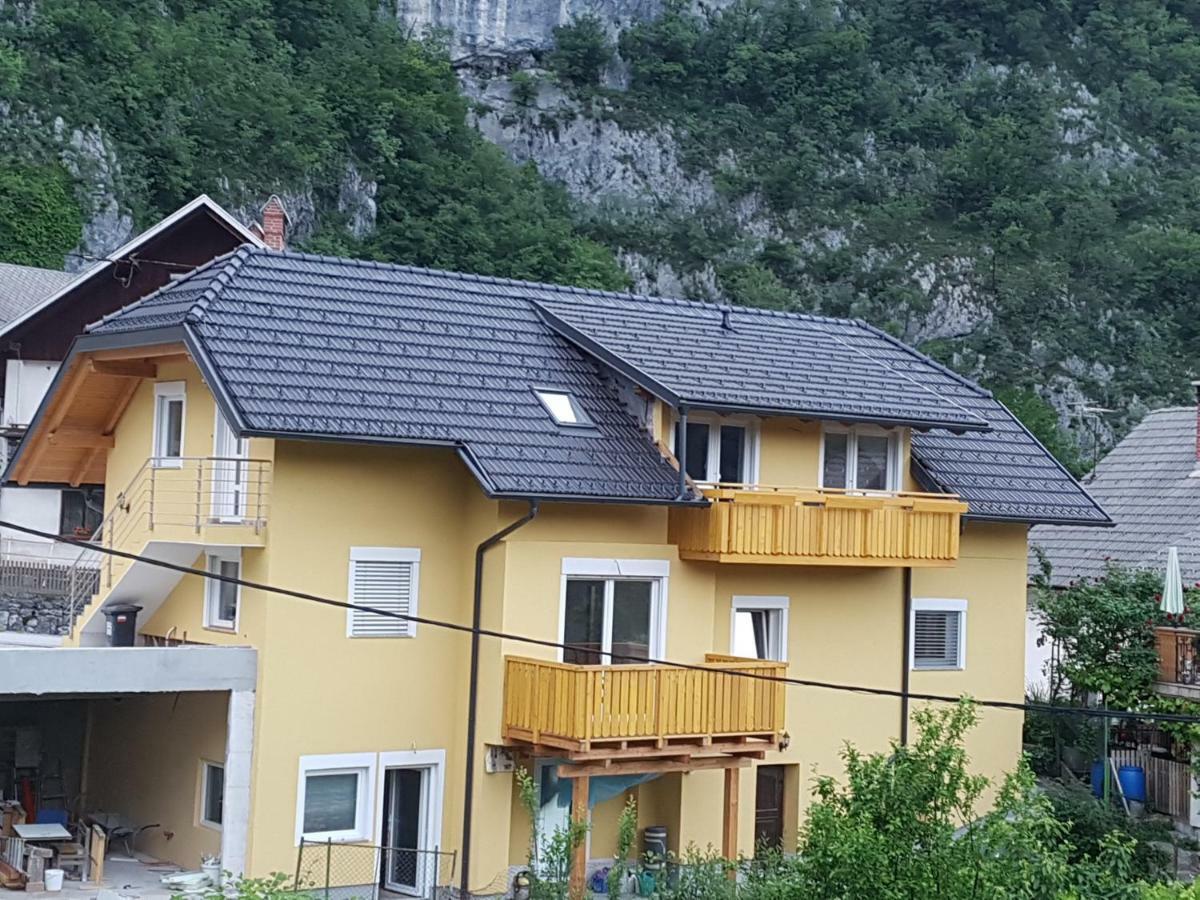 Apartmaji Zupan Bohinjska Bela Esterno foto