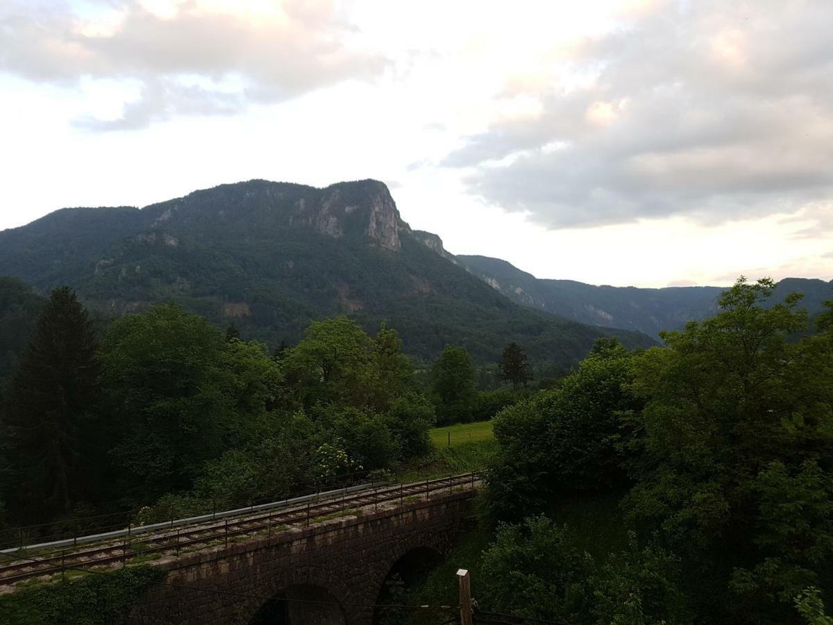 Apartmaji Zupan Bohinjska Bela Esterno foto