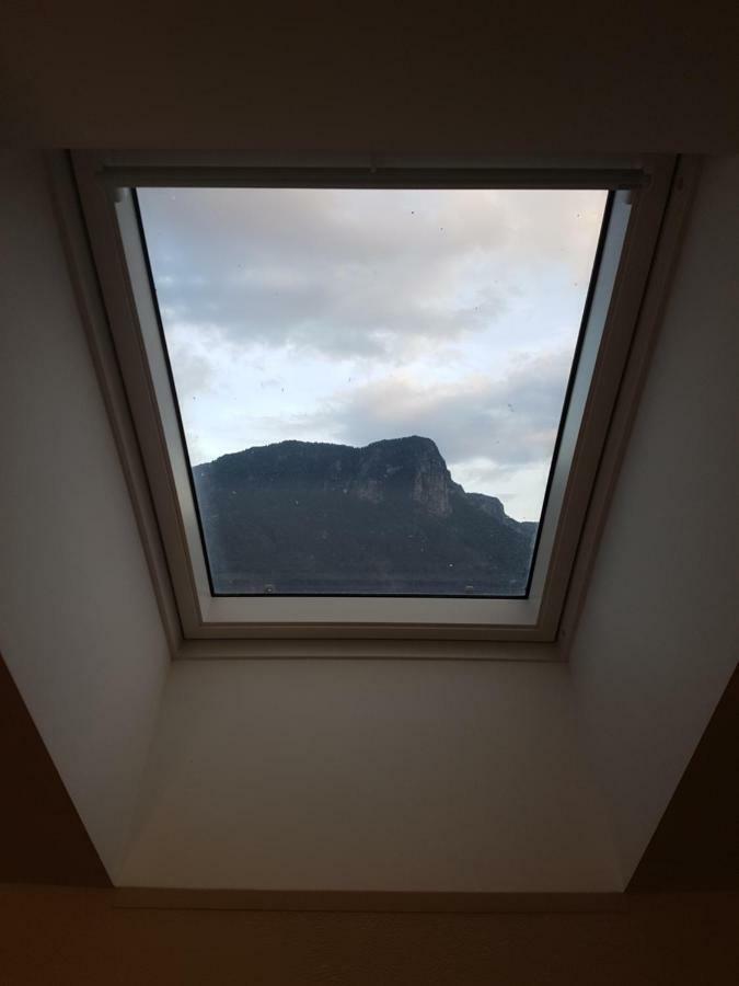 Apartmaji Zupan Bohinjska Bela Esterno foto