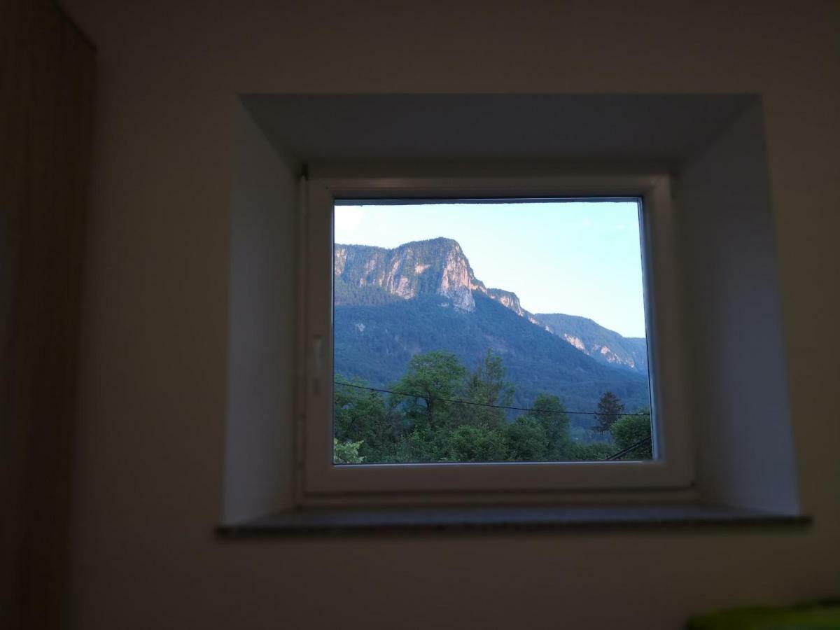 Apartmaji Zupan Bohinjska Bela Esterno foto